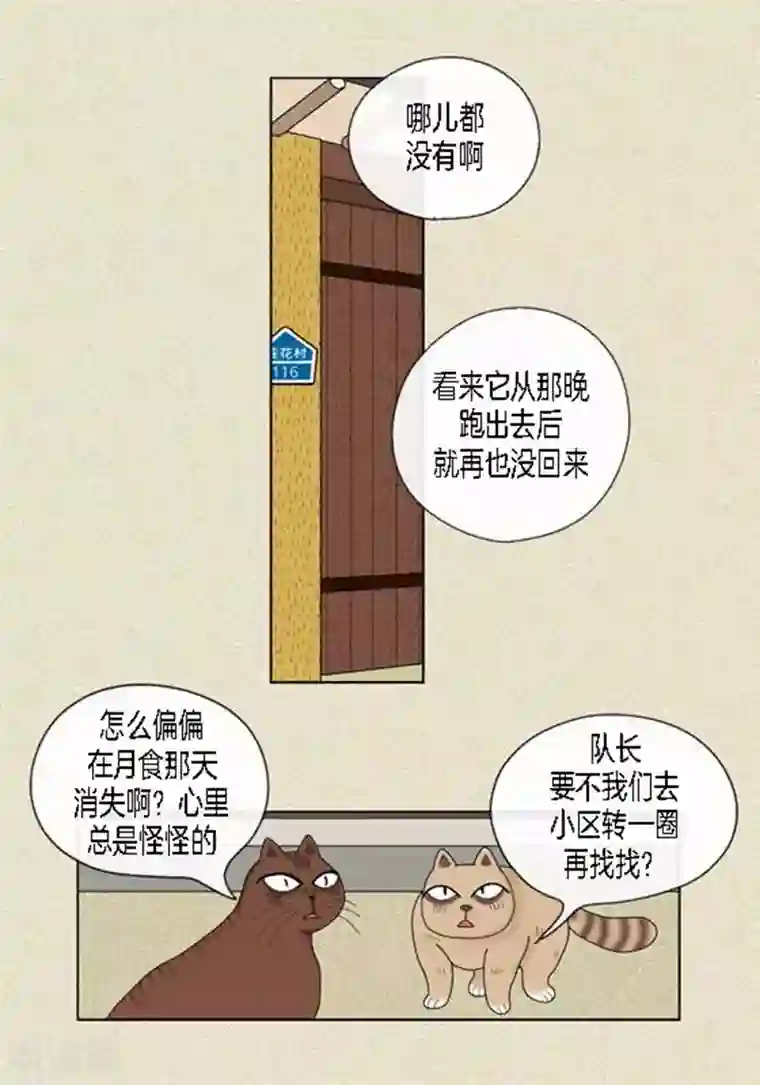 猫王子第45话 猫王子的下一个目标