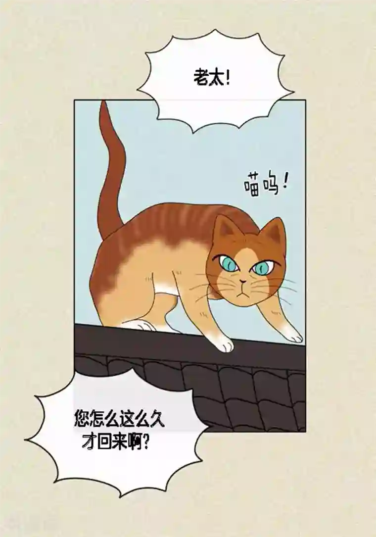 猫王子第45话 猫王子的下一个目标