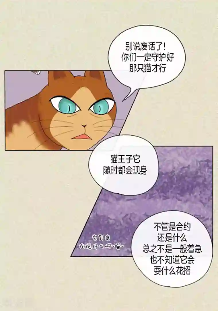 猫王子第45话 猫王子的下一个目标