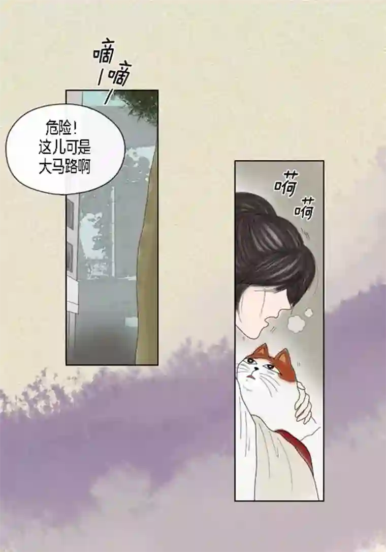 猫王子第49话 他回来了