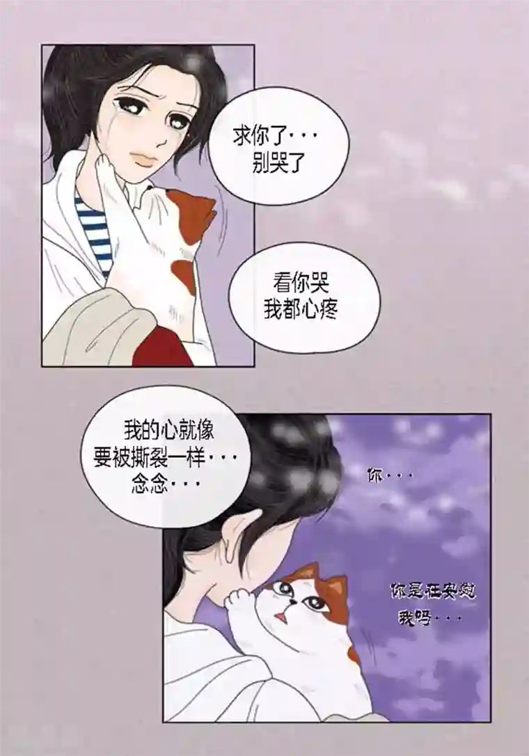 猫王子第49话 他回来了