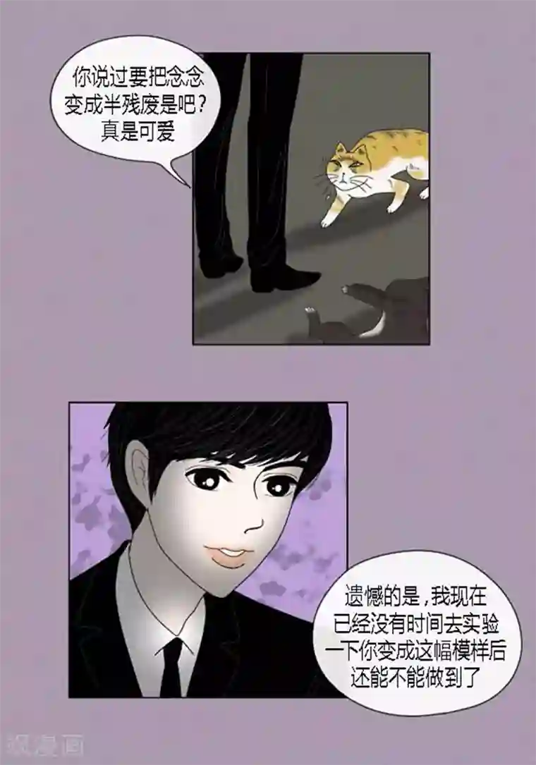 猫王子第49话 他回来了