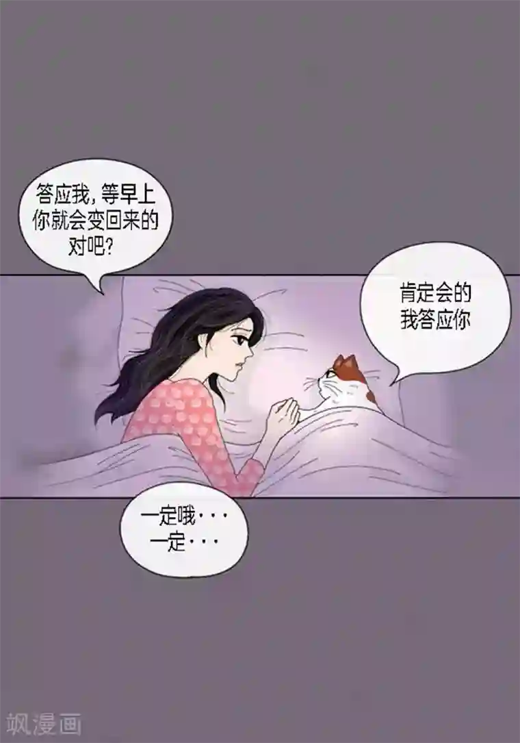 猫王子第49话 他回来了