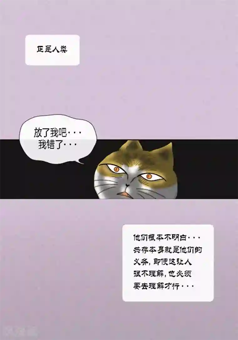 猫王子第49话 他回来了