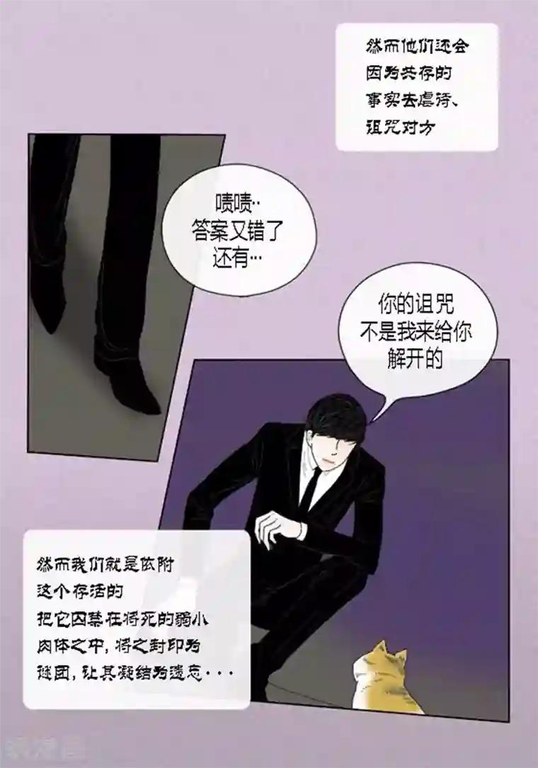 猫王子第49话 他回来了