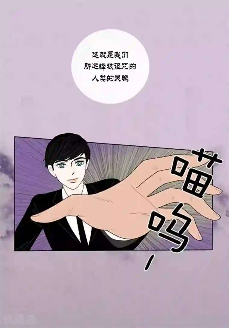 猫王子第49话 他回来了