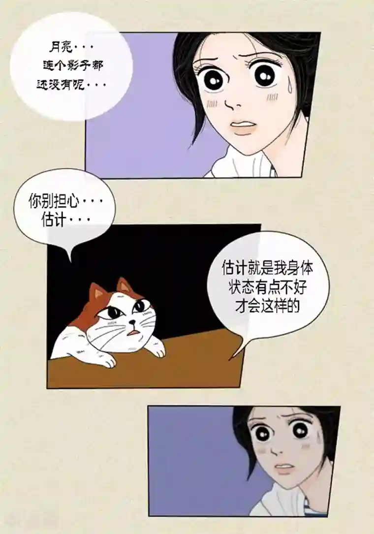 猫王子第49话 他回来了