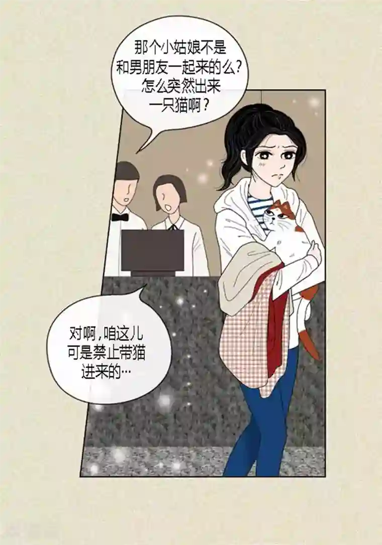 猫王子第49话 他回来了