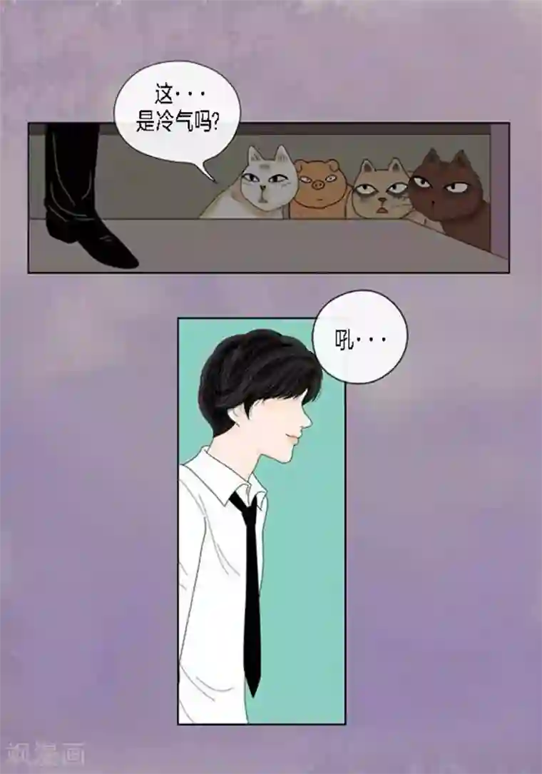 猫王子第54话 只不过是打猎
