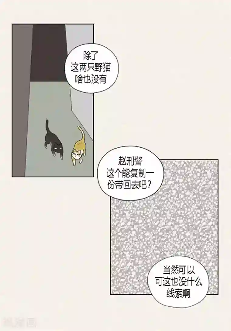 猫王子第54话 只不过是打猎