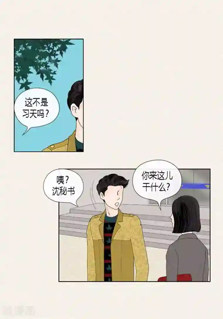 猫王子第54话 只不过是打猎