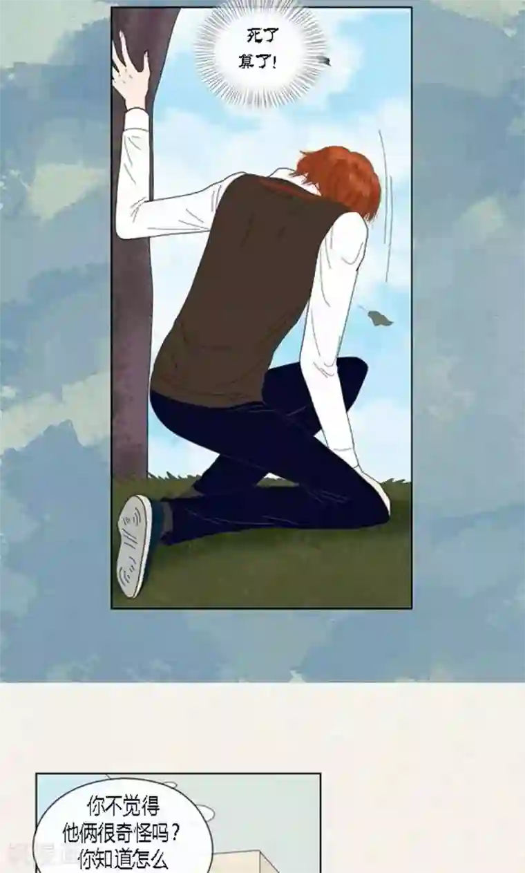 猫王子第58话 口是心非