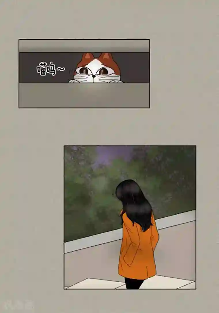 猫王子第59话 真的痊愈了吗？