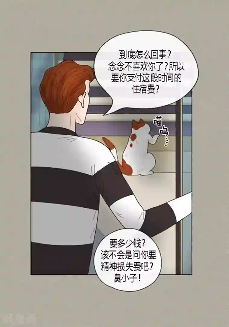 猫王子第59话 真的痊愈了吗？