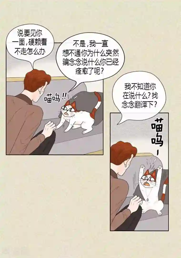 猫王子第59话 真的痊愈了吗？