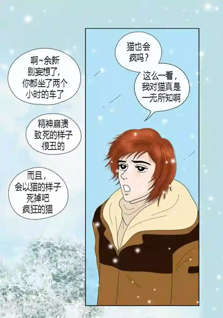 猫王子第62话 这不是幻觉