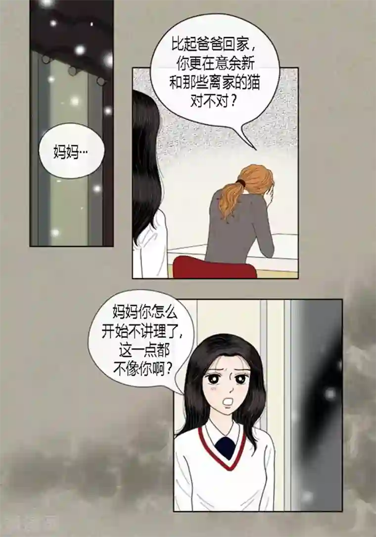 猫王子第62话 这不是幻觉