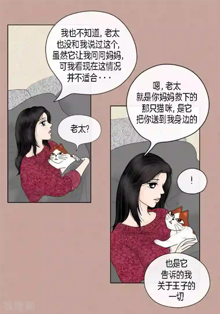 猫王子第64话 回忆与现实