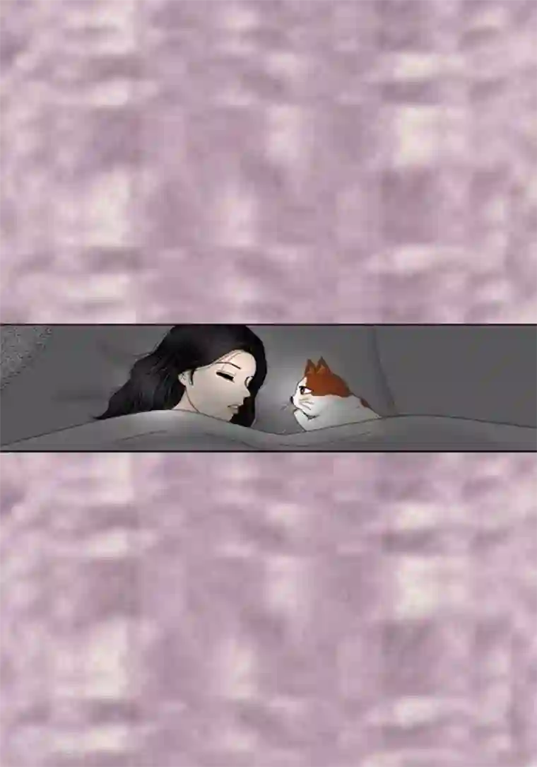 猫王子第66话 抗衡