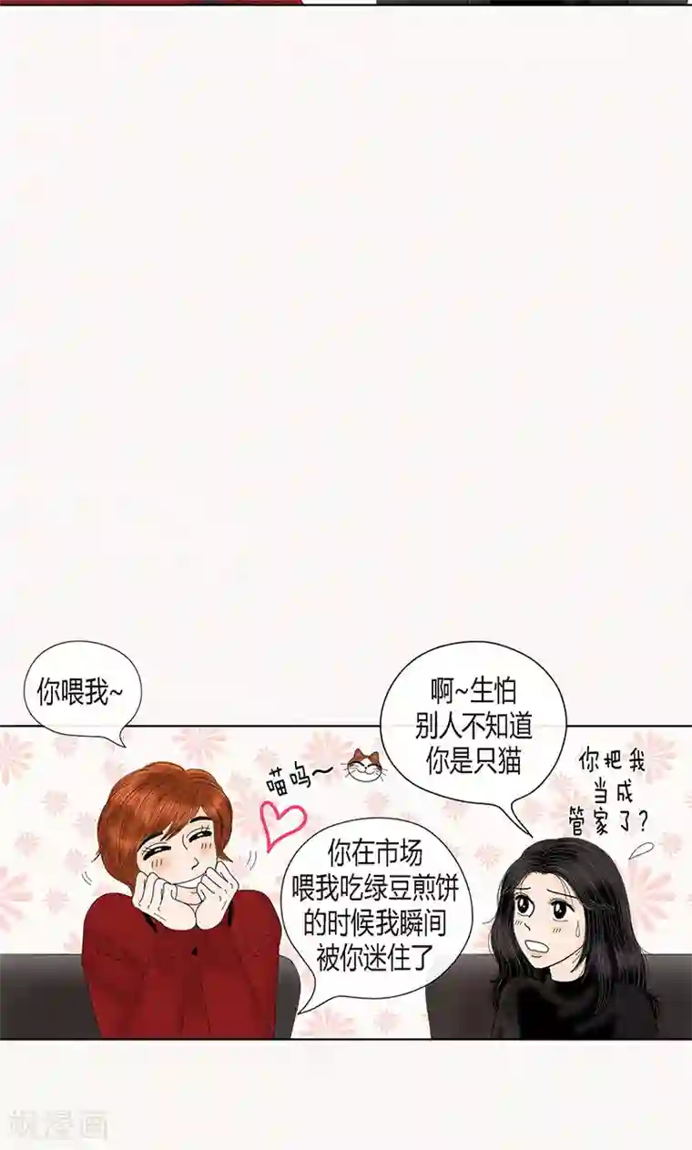 猫王子第69话 公众人物