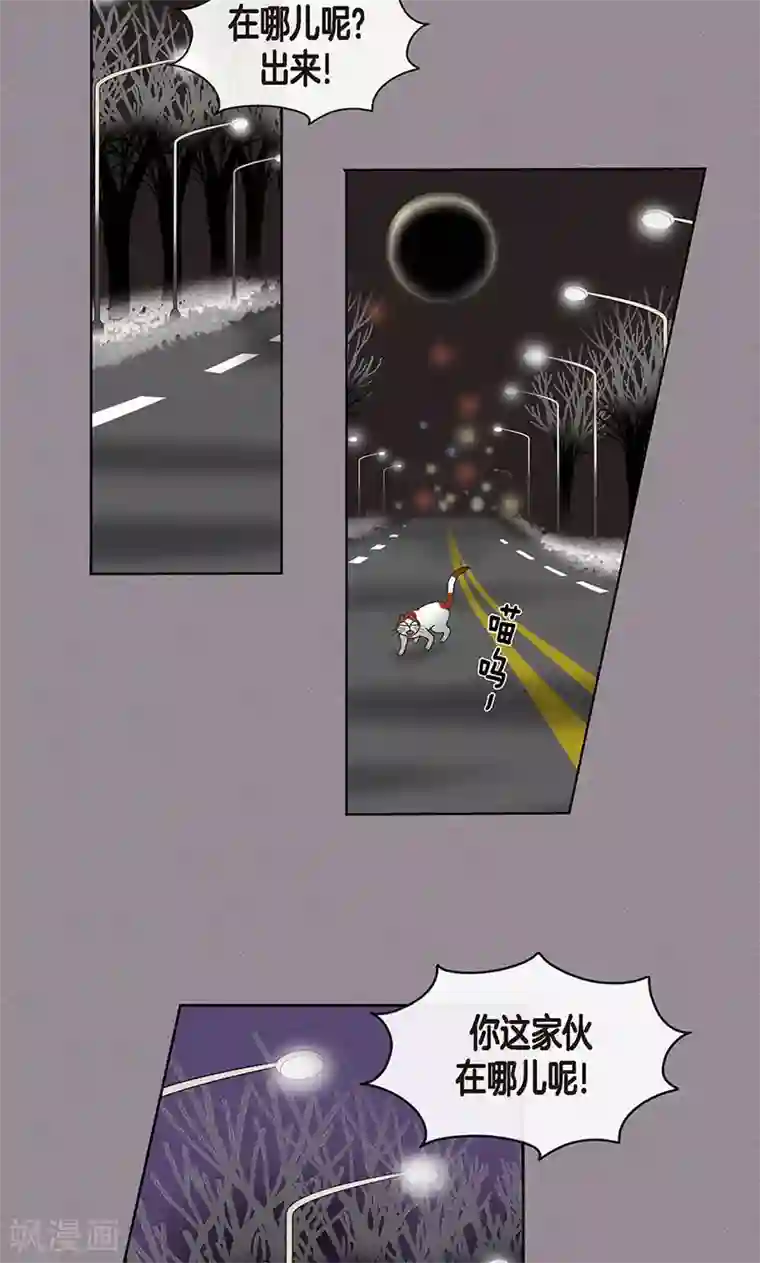 猫王子第70话 大难临头