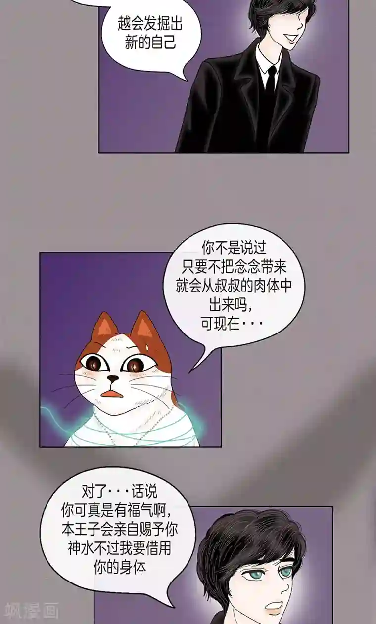 猫王子第70话 大难临头