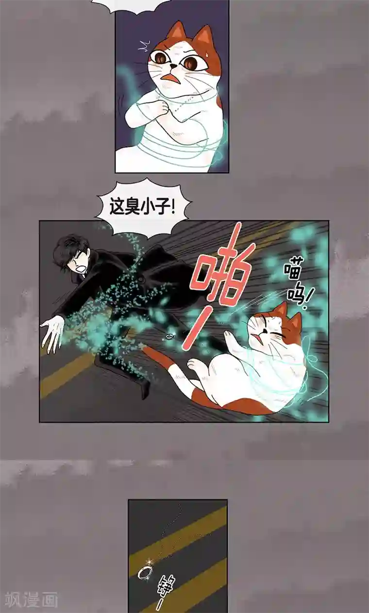 猫王子第70话 大难临头