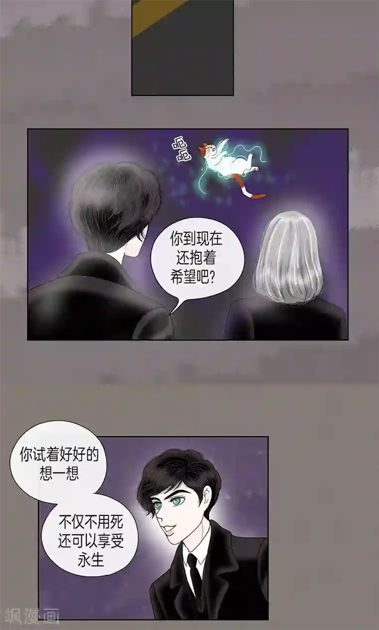 猫王子第70话 大难临头