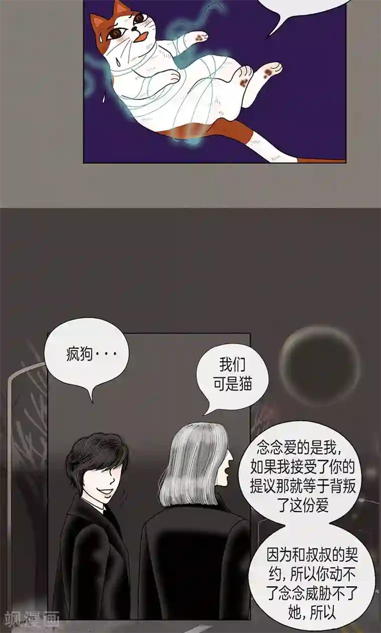 猫王子第70话 大难临头