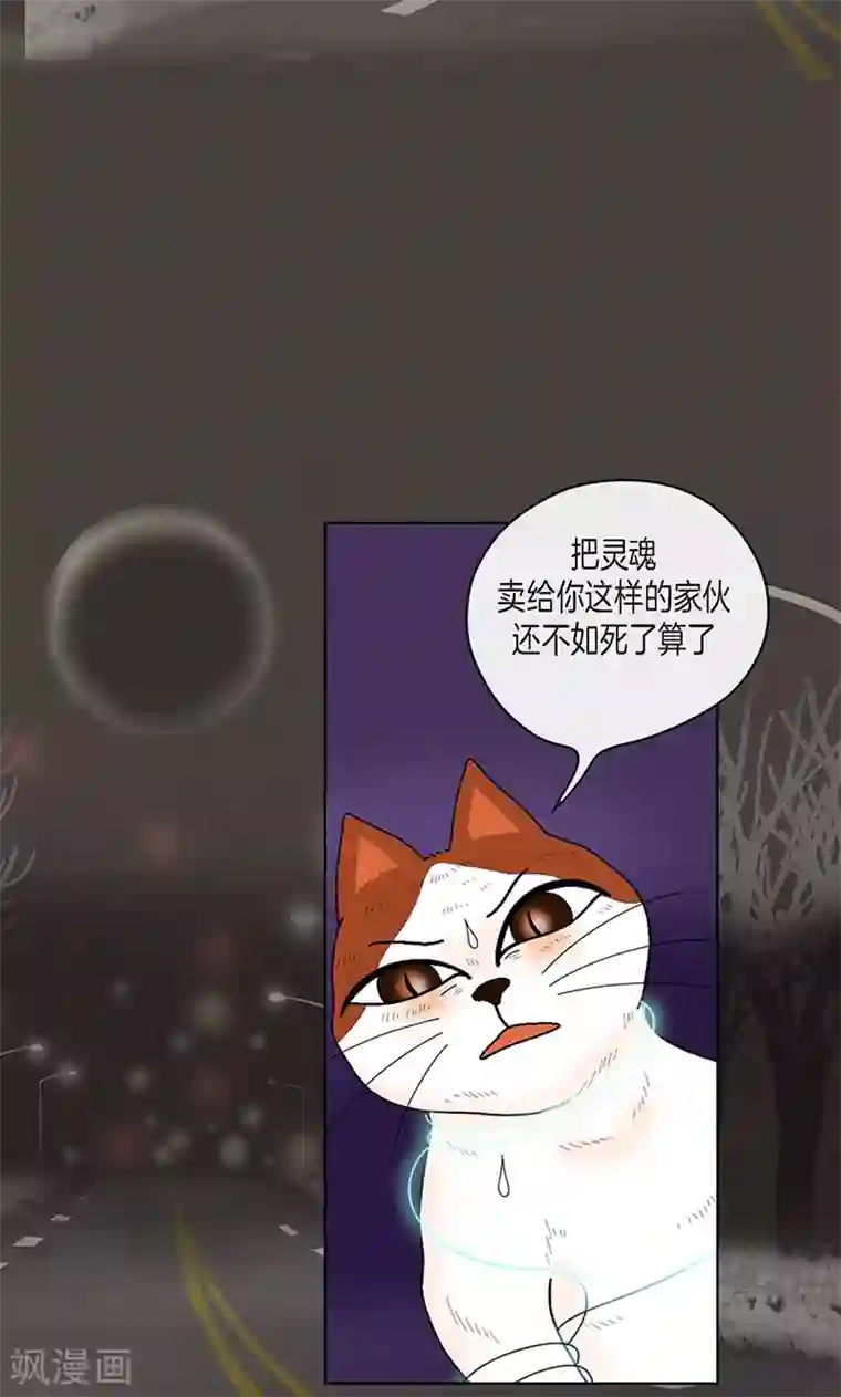 猫王子第70话 大难临头