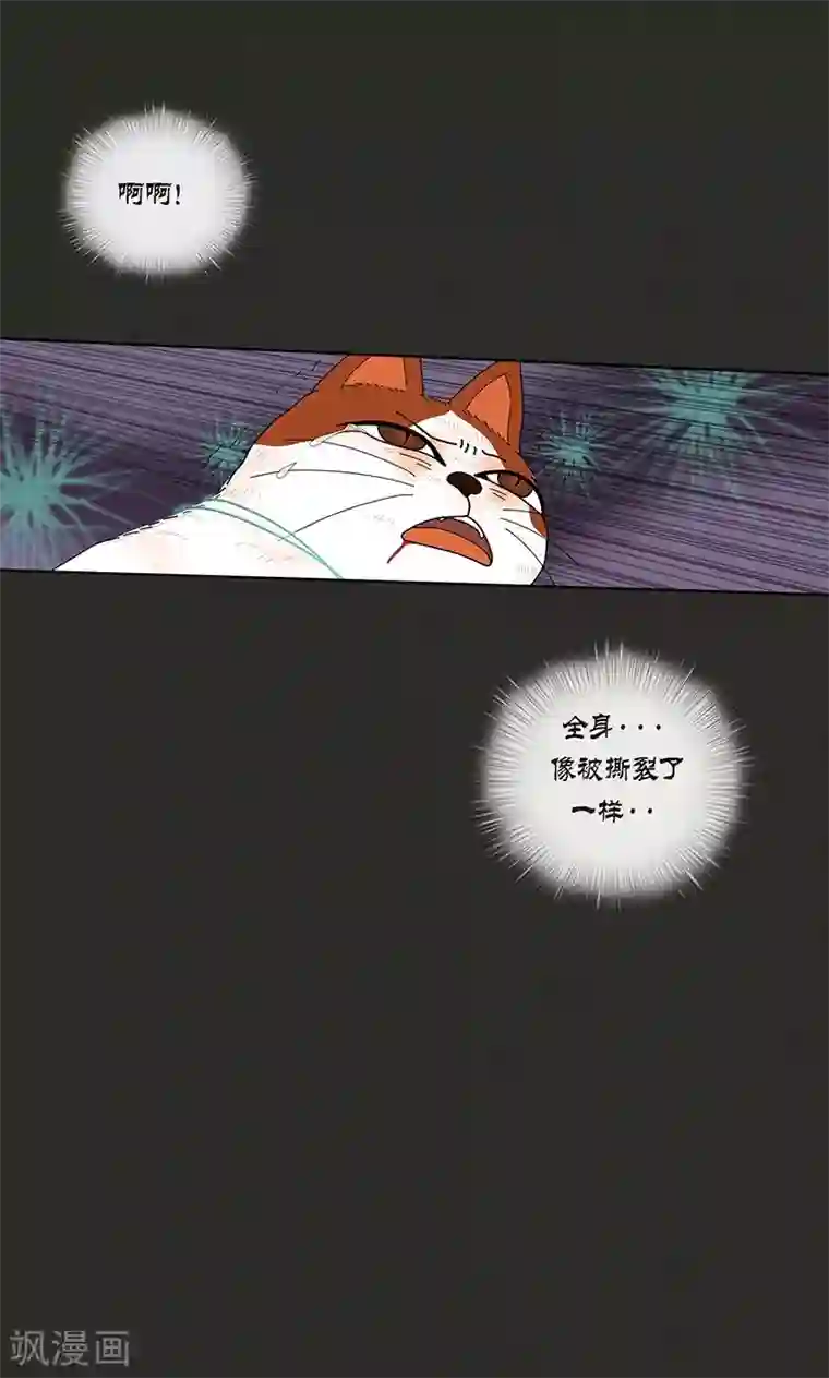 猫王子第70话 大难临头