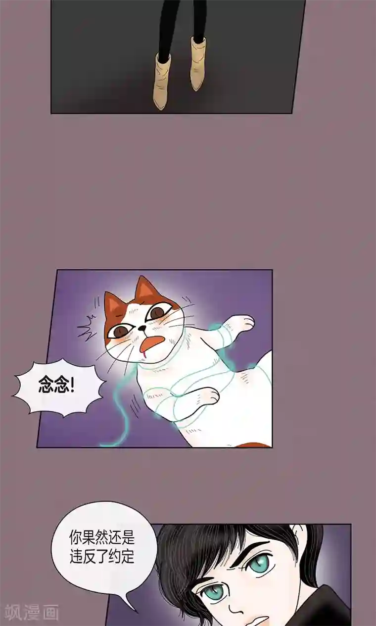 猫王子第70话 大难临头