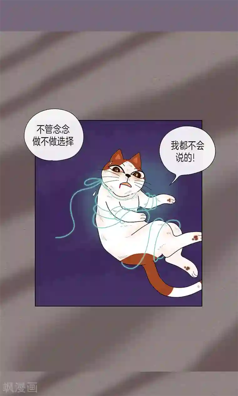 猫王子第70话 大难临头