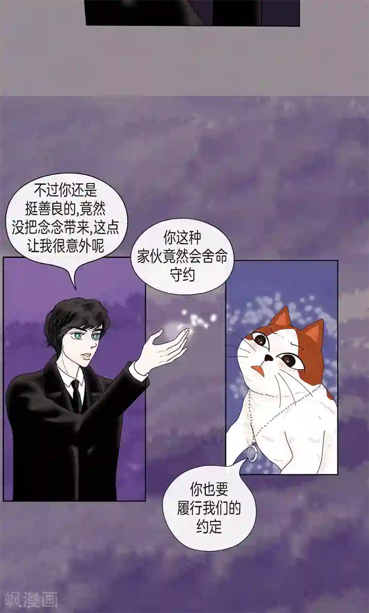 猫王子第70话 大难临头