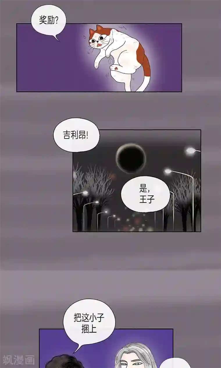 猫王子第70话 大难临头