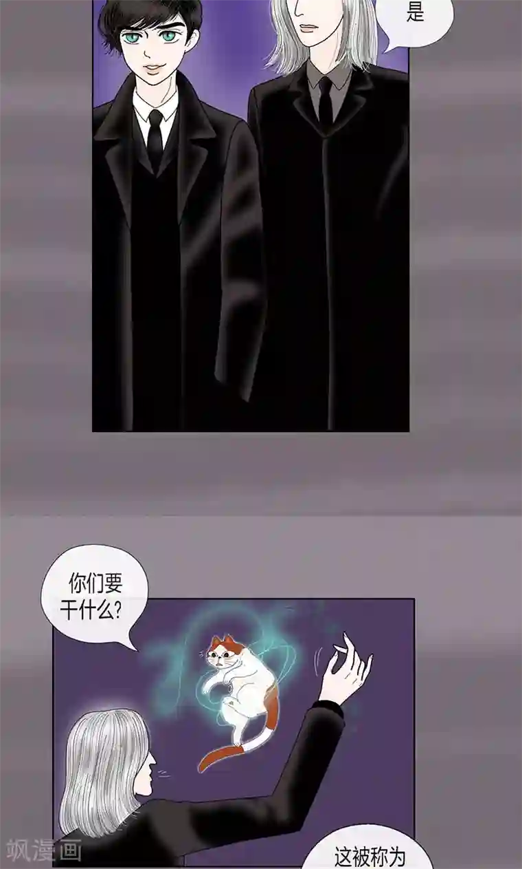 猫王子第70话 大难临头