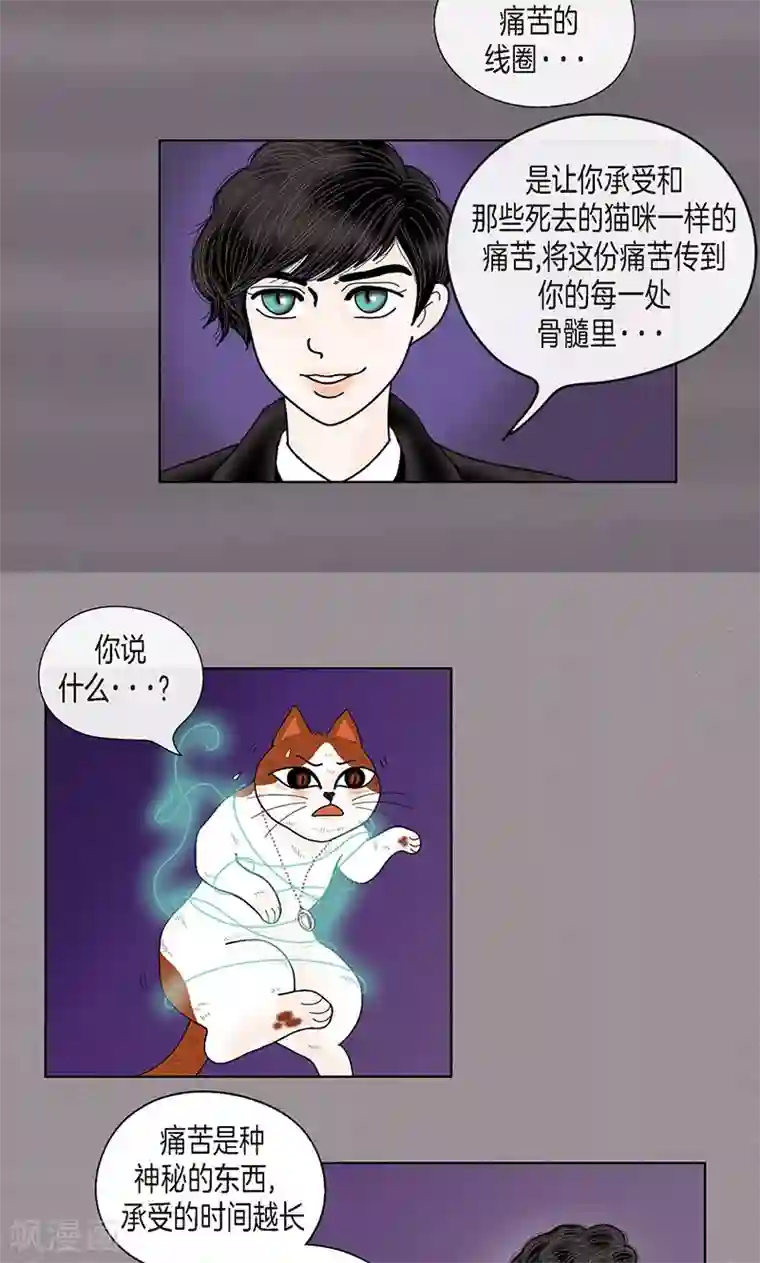 猫王子第70话 大难临头