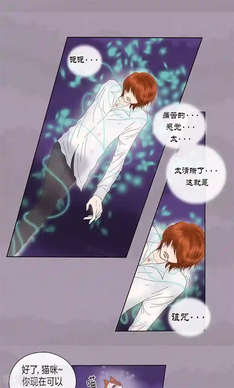 猫王子第71话 左右为难