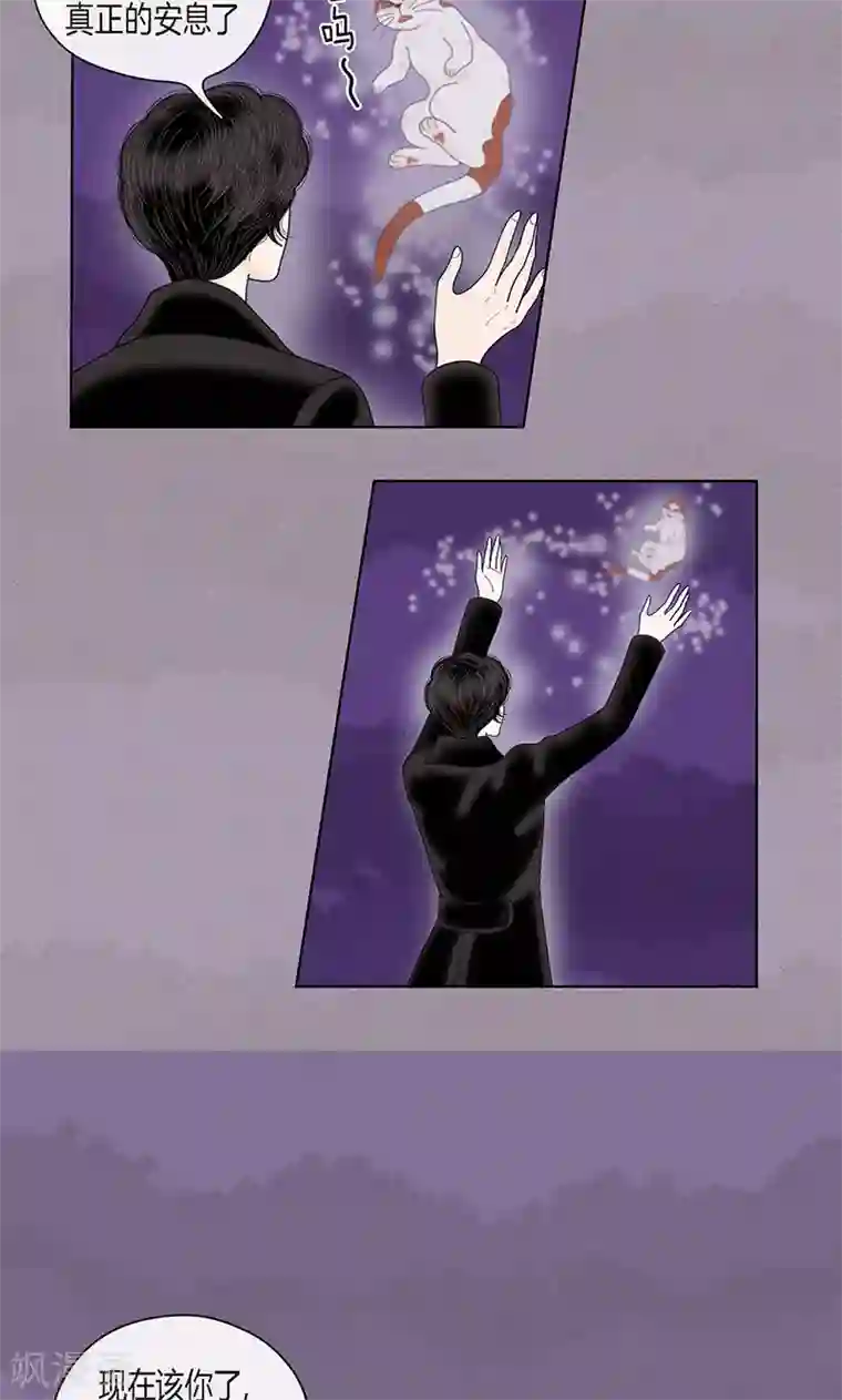 猫王子第71话 左右为难