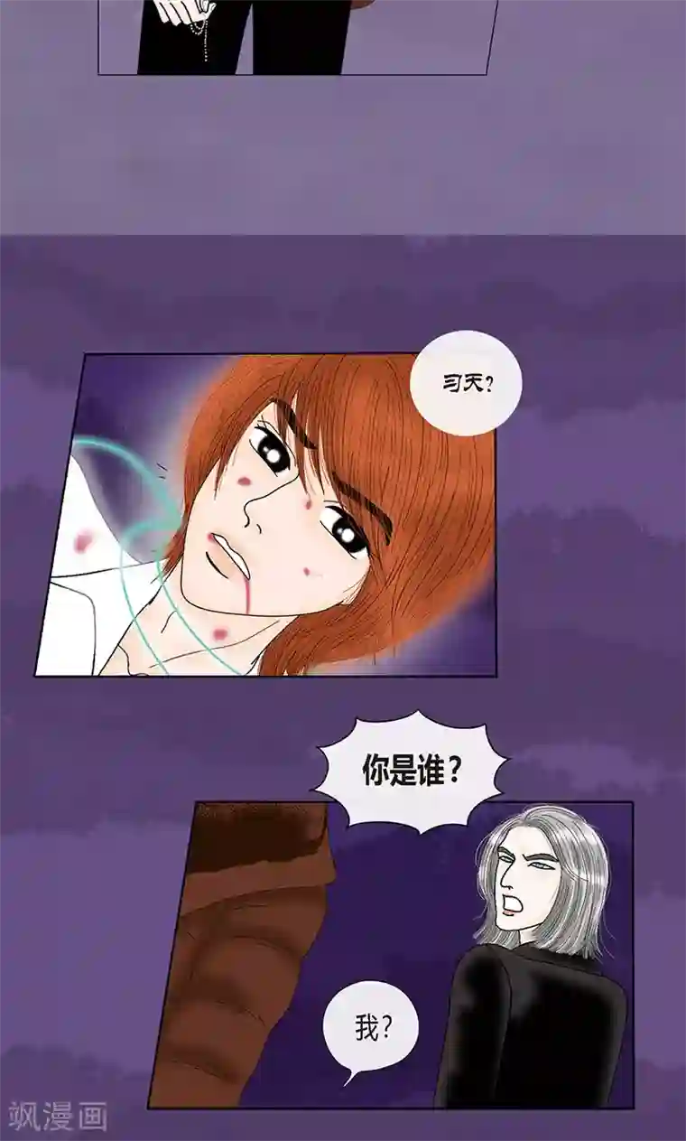 猫王子第71话 左右为难