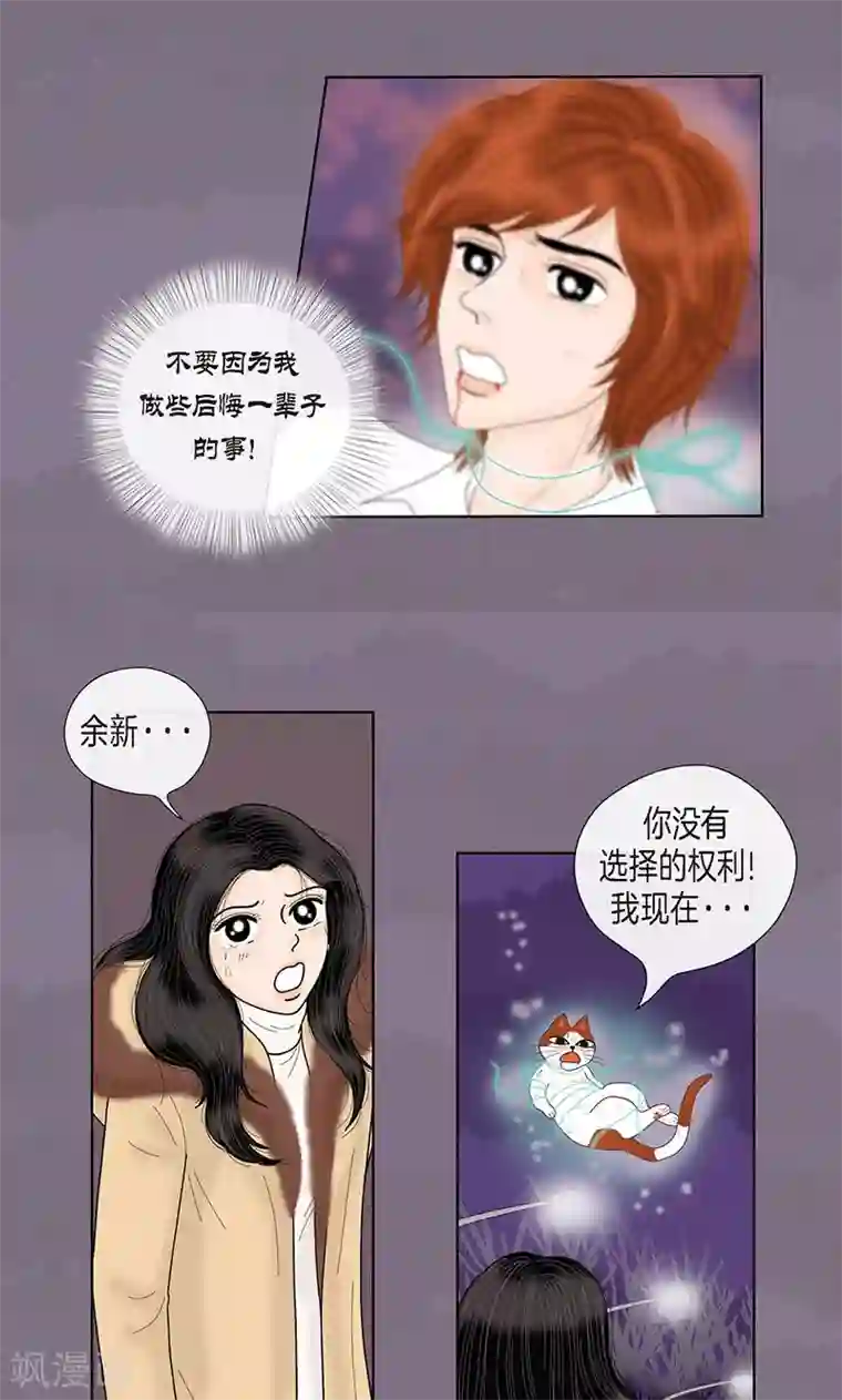 猫王子第71话 左右为难