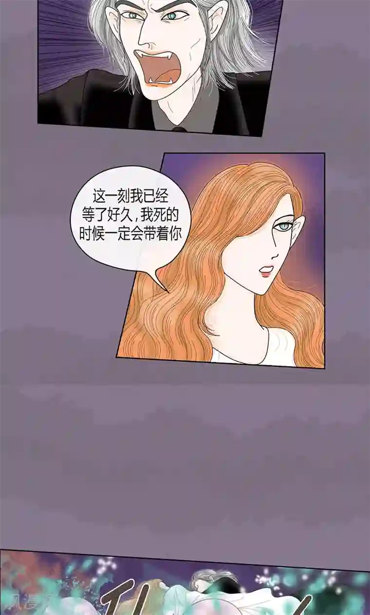 猫王子第72话 回光返照