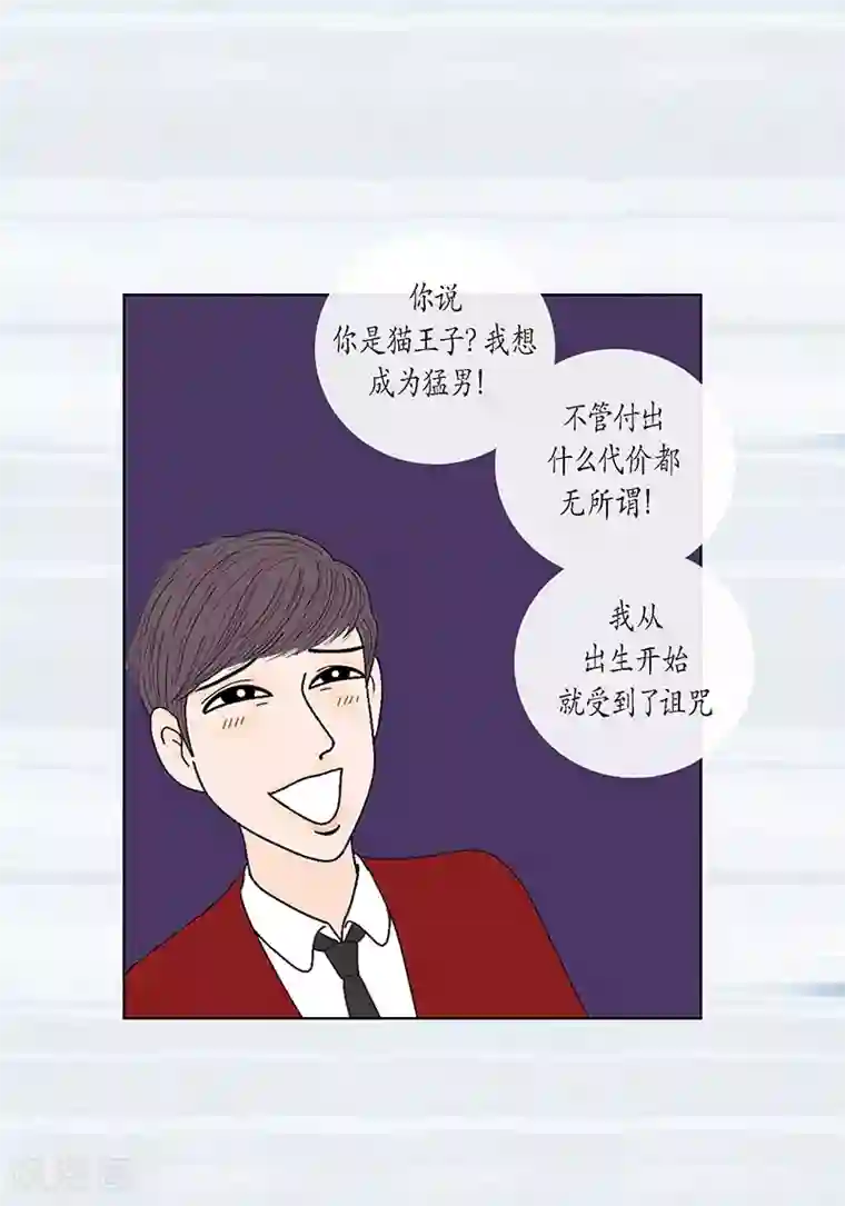 猫王子最终话 成功