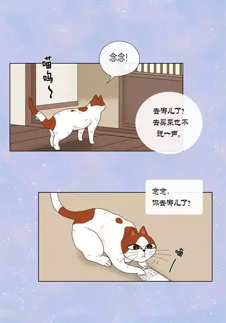 猫王子最终话 成功