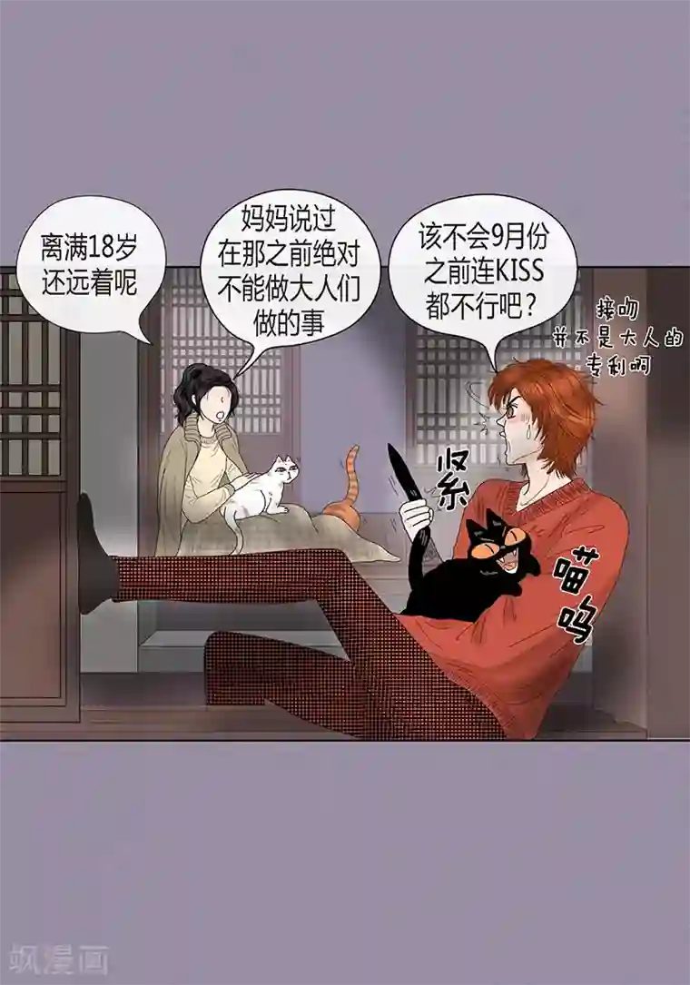 猫王子最终话 成功