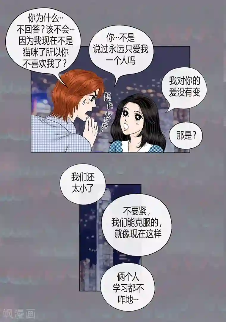 猫王子最终话 成功