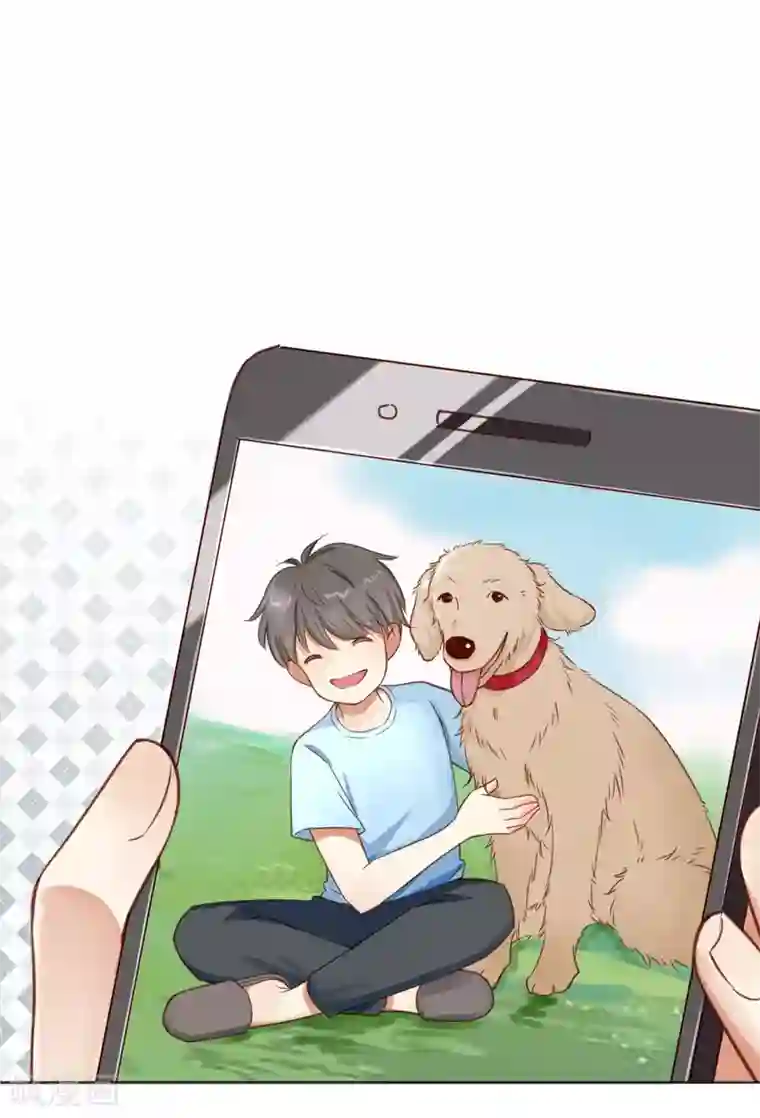 守护医护后方全一话