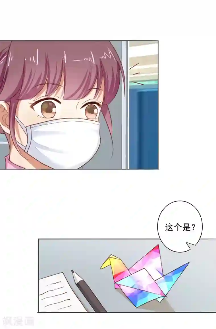 守护医护后方全一话