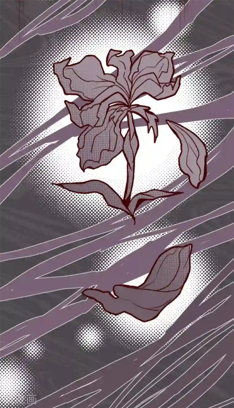 魔气来袭!第30话 爱丽丝