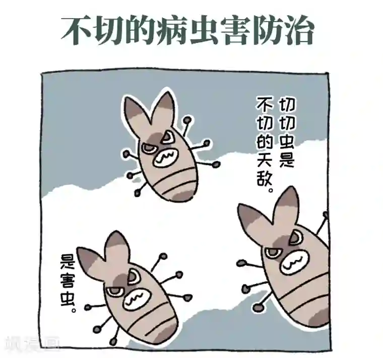 不切传说第36话 关于不切